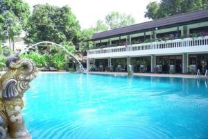 Royal Orchid