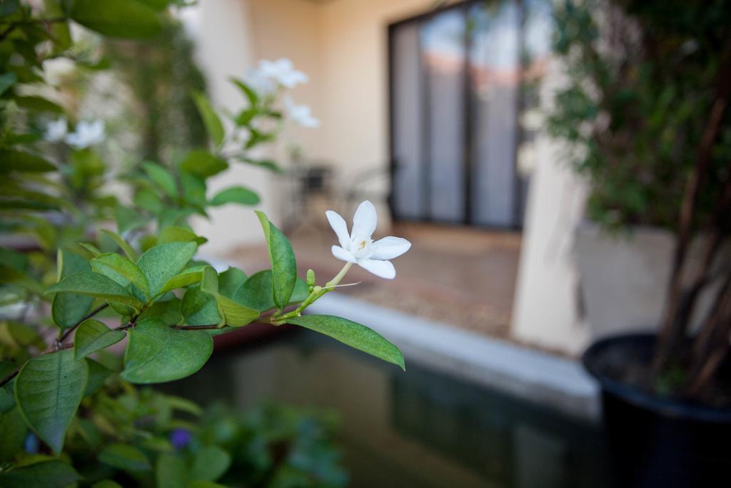 Resort Lotusland