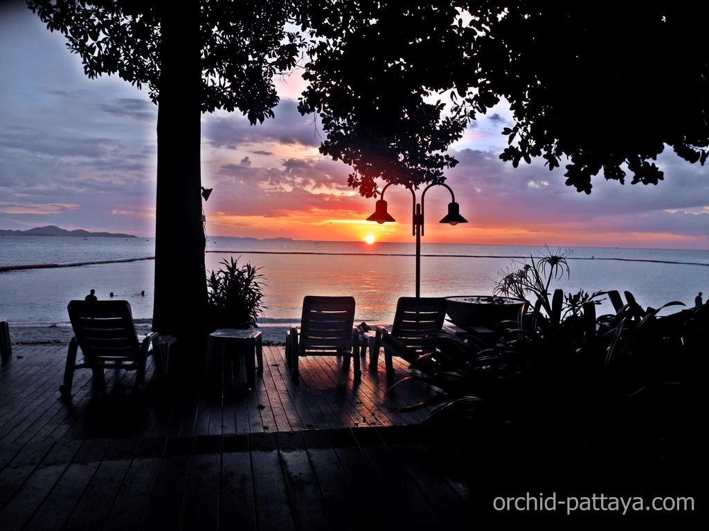 Sky Orchid Beachfront *