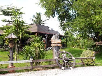 Cowboy Farm