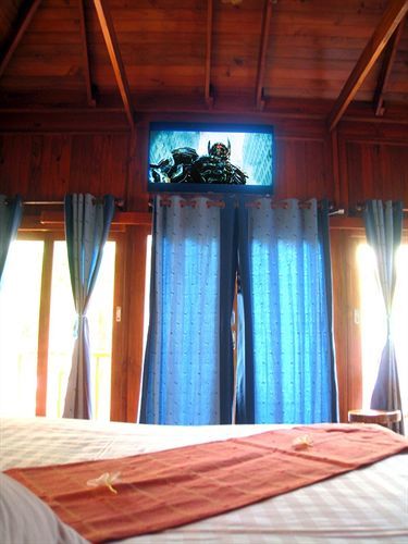 Wood House 3*