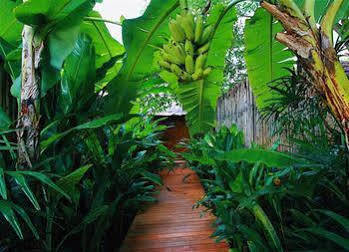 Chic+ Chill @eravana 4*