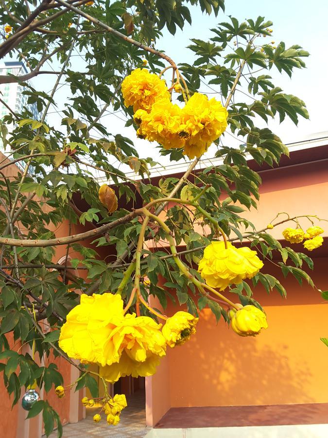 Bee Sleep & Nana Art Gallery Hostel Pattaya