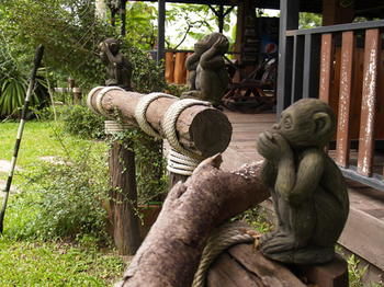 Cowboy Farm Pattaya