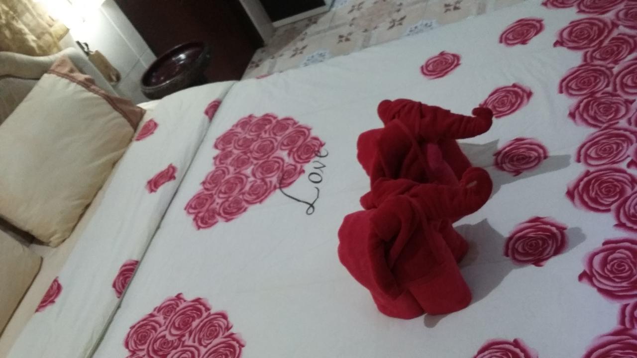 Jasmin 2*