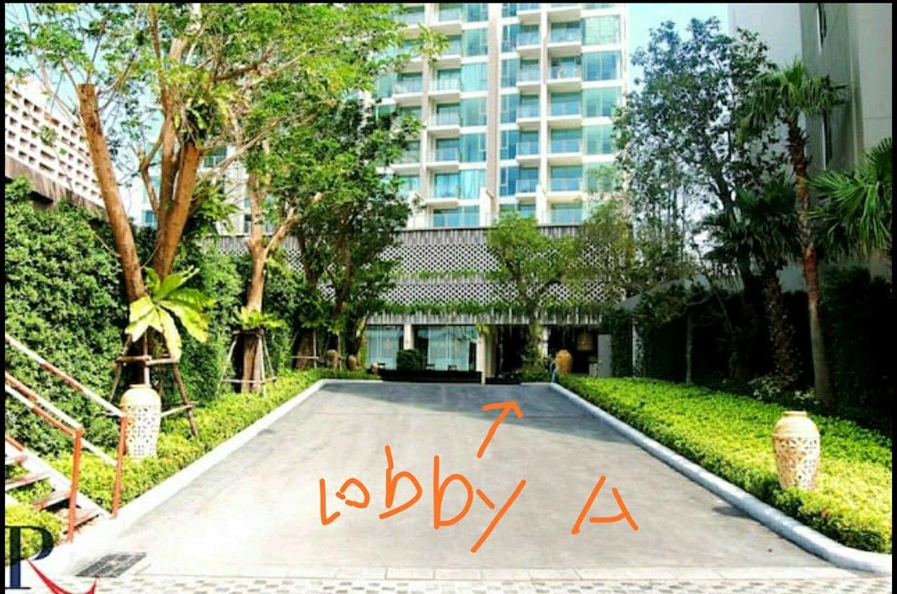 Apartment The Riviera Wongamat Hong Pattaya