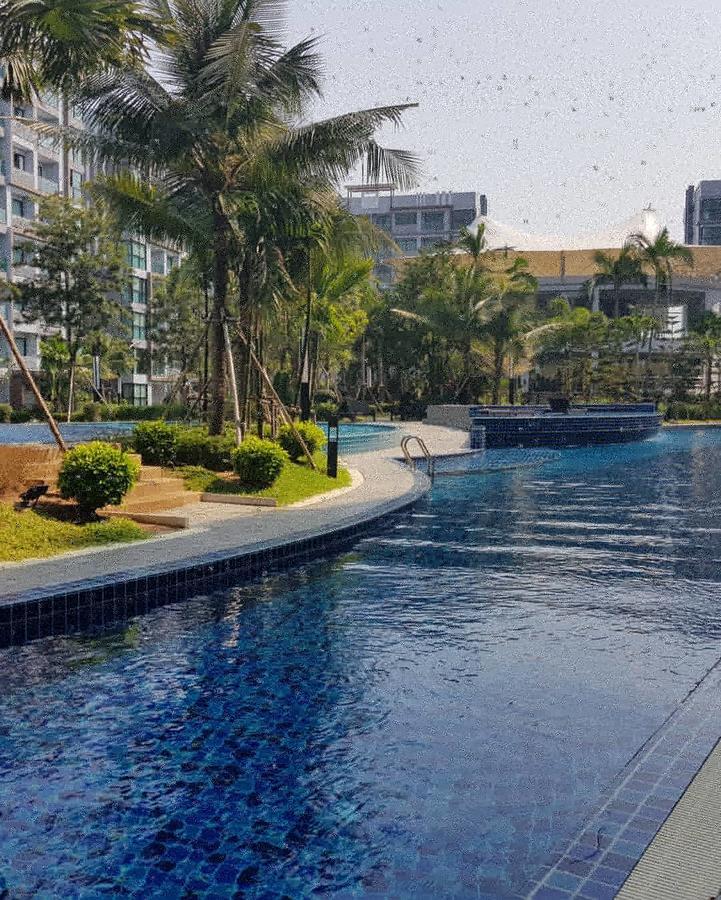 Tropical Pool View Free Electric Wifi