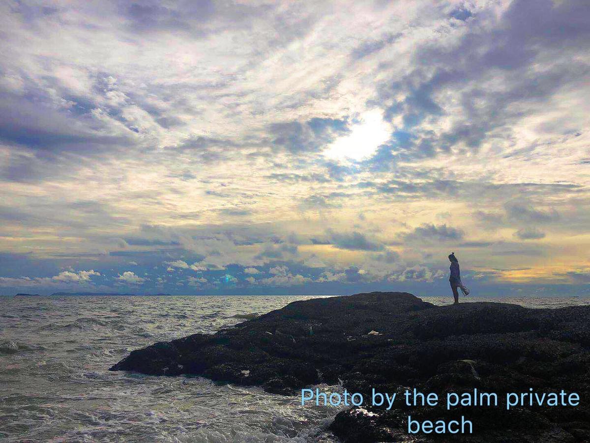 The Palm Front