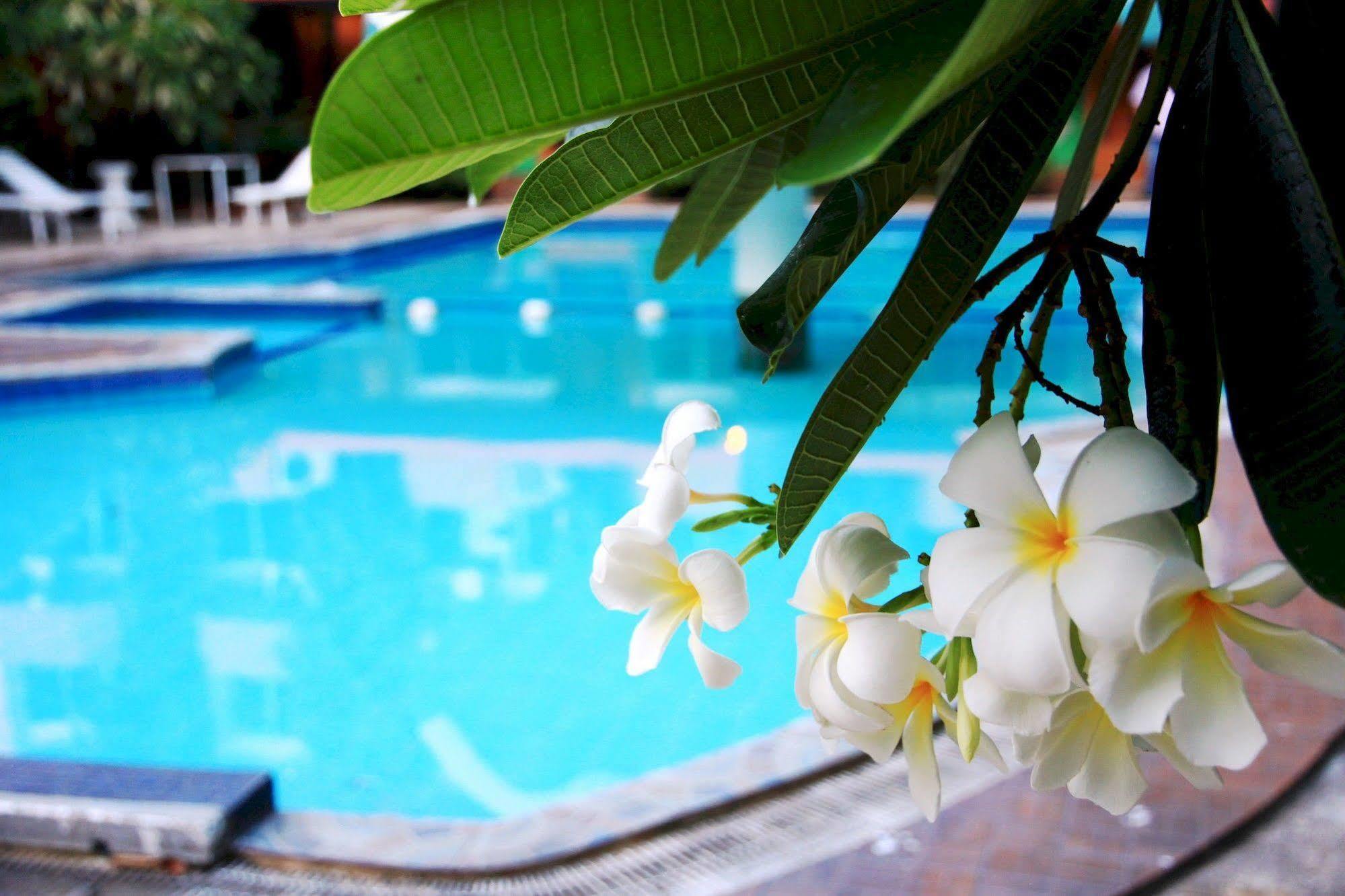 Hotel Seashore