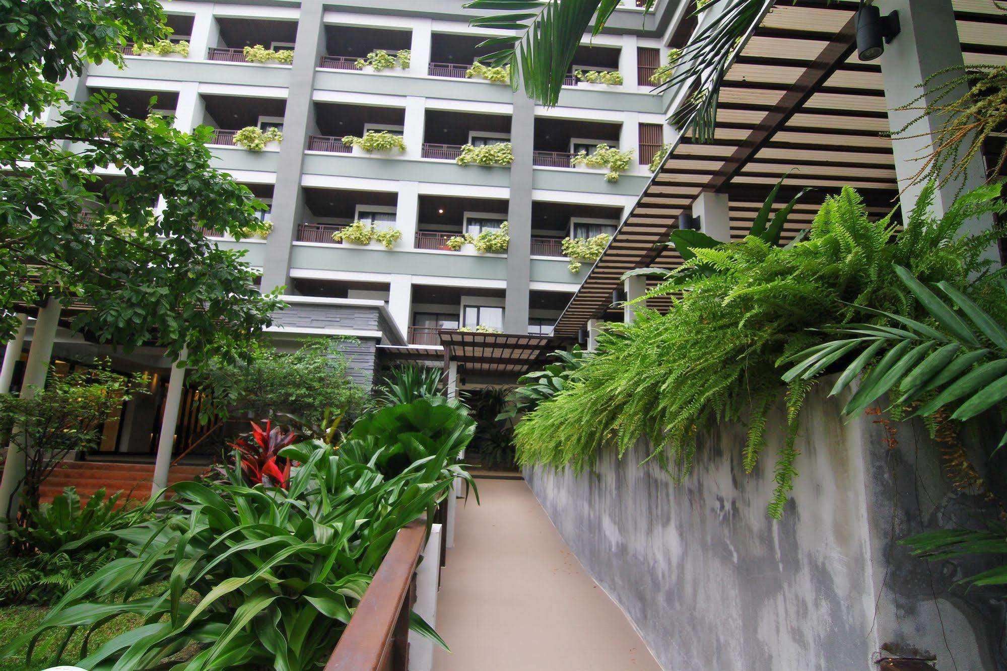 Areca Pattaya