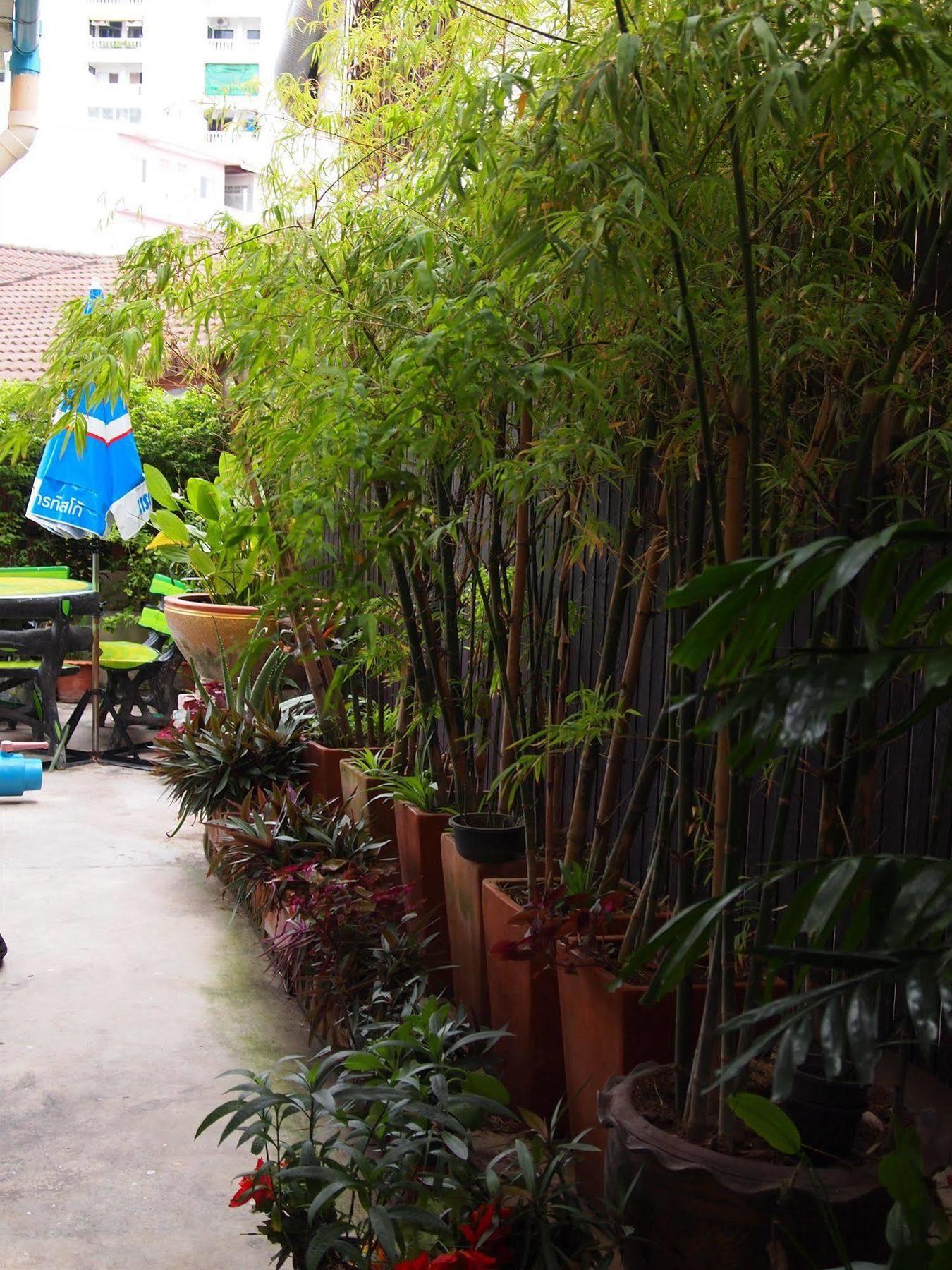 Apartment Chitra