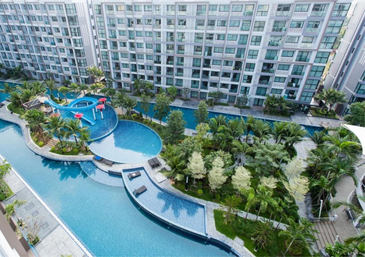 Tropical Pool View Free Electric Wifi Pattaya