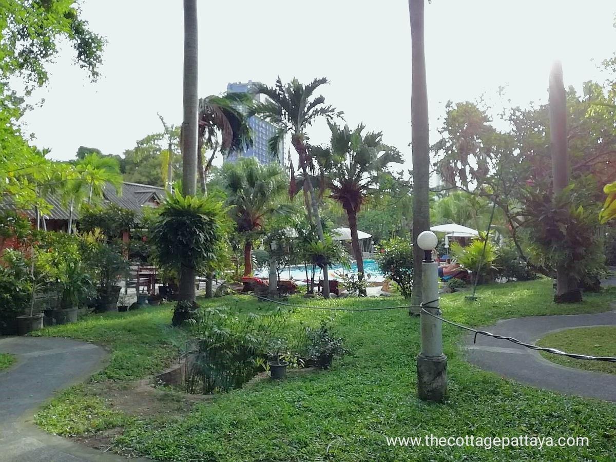 The Hotel Pattaya