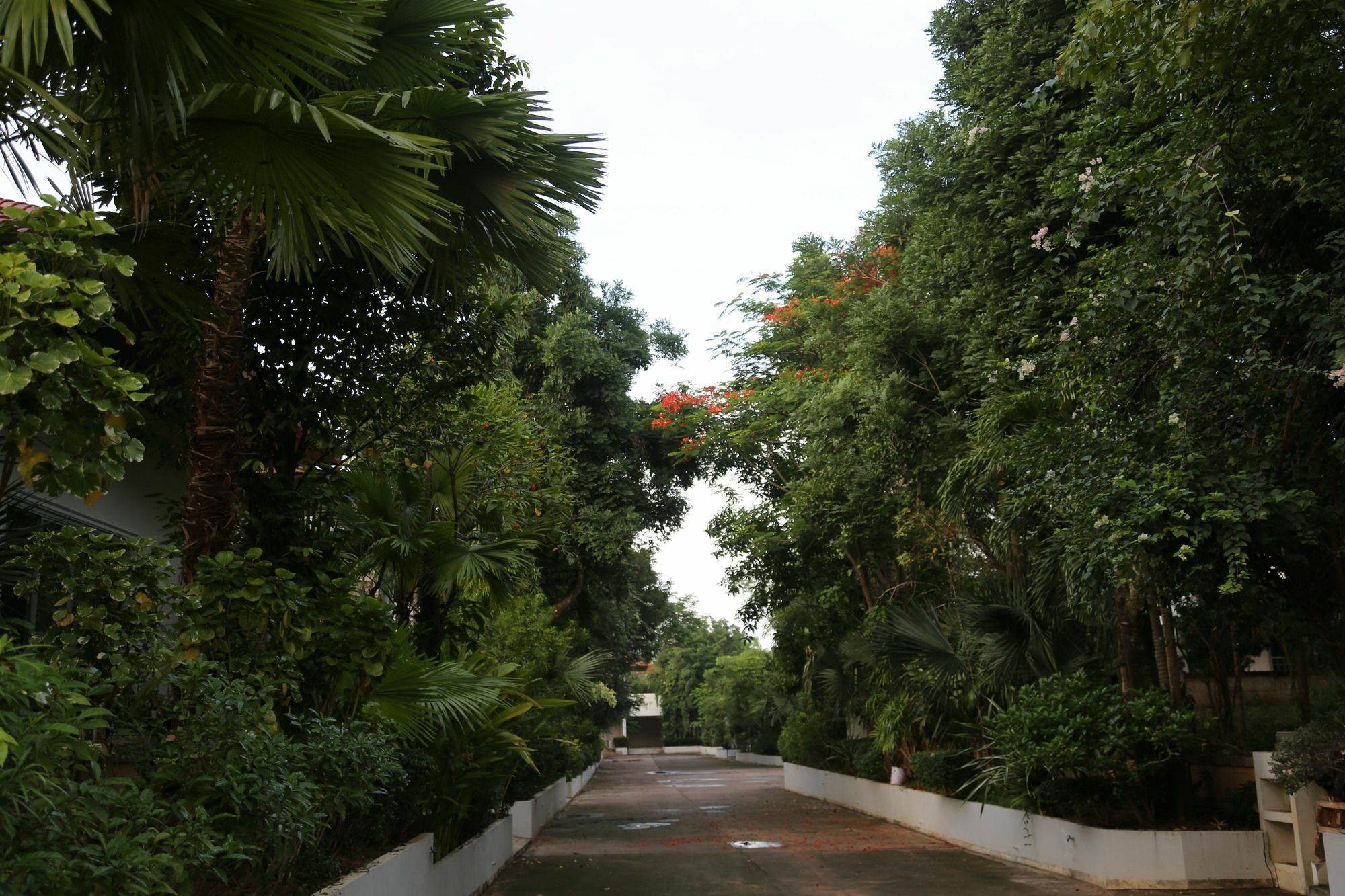 Scenxury Resort 3*