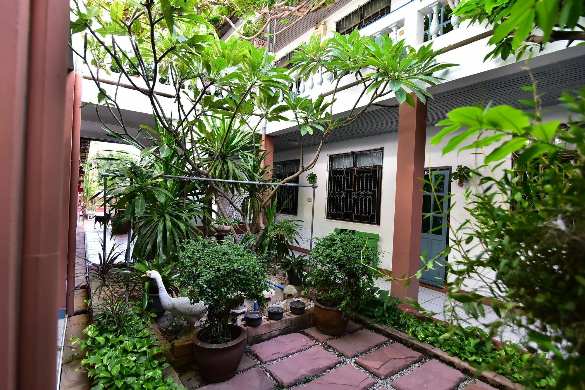 Nong - Adults Only 3* Pattaya