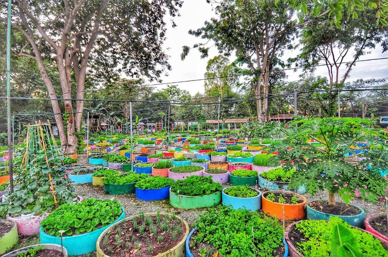 Birds And Bees Tempat peranginan