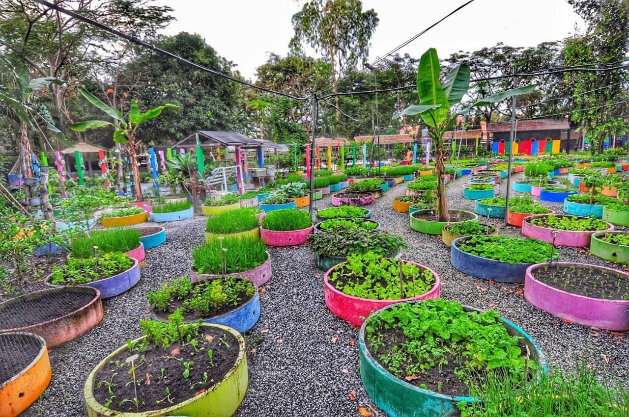 Birds And Bees Tempat peranginan 3*