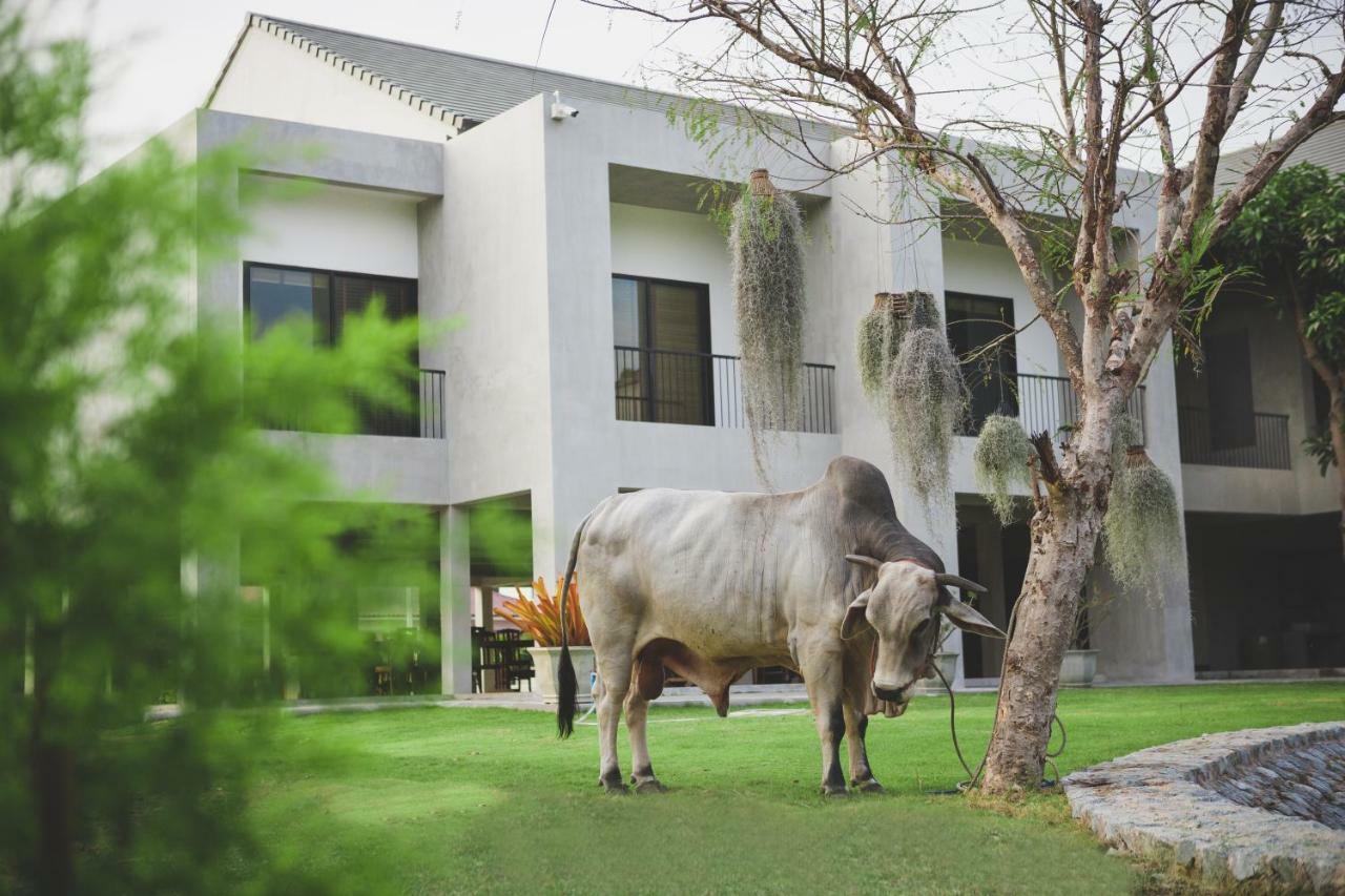 Resort Purida Garden 3*