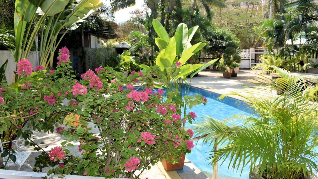 Orchid Garden Beach Pattaya