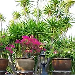 Luxury Private Pool Villa 5 Min From Walking Street And Beaches