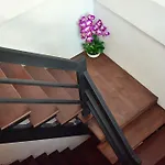 Seedling House
