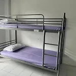Js786 Cafe&bistro Hostel *
