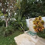 Luxury Luxury Seven Stars