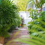 Cozy Gray Garden