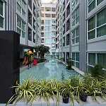 D Evolve Pattaya