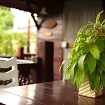 Diana Garden - Sha Extra Hotel