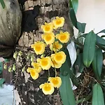 โรงแรม ค๊อกโค