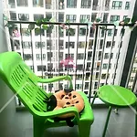 Apartment The Base In Downtown Pattaya