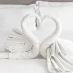 Hotel Vanko International