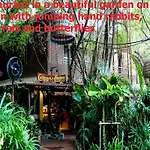 Tropical Garden Studio