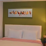 Yoyo Guest House
