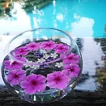 Leprive Resort
