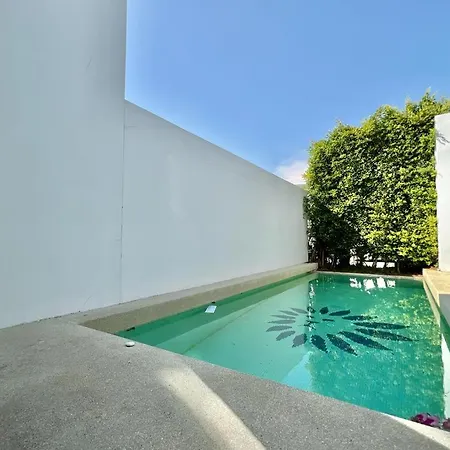 Palm Spring Pool *