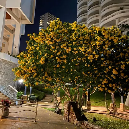 Amazing Cozy Seaview Pattaya