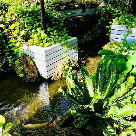 D Eco * Pattaya