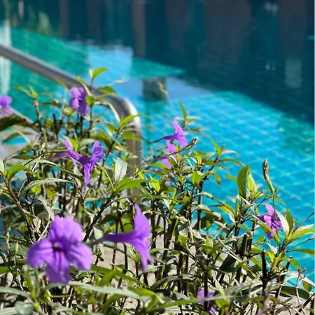โรงแรม Pattara Mansion พัทยา Pattaya