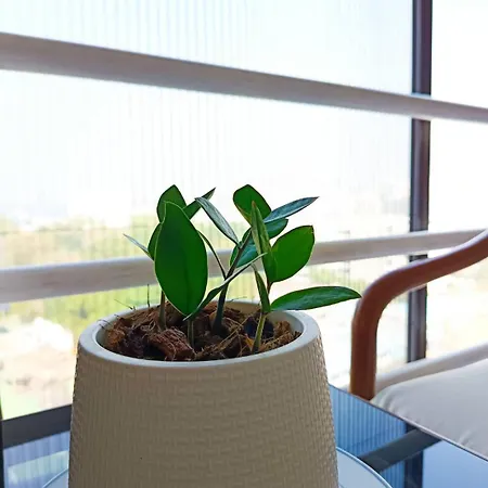 Hotel The Monaco 3*