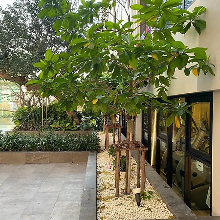 The Base In *