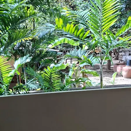 Beachfront With 50m Pool Jacuzzi Access-pattaya Apartment