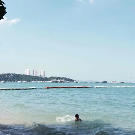 Sureena Pattaya