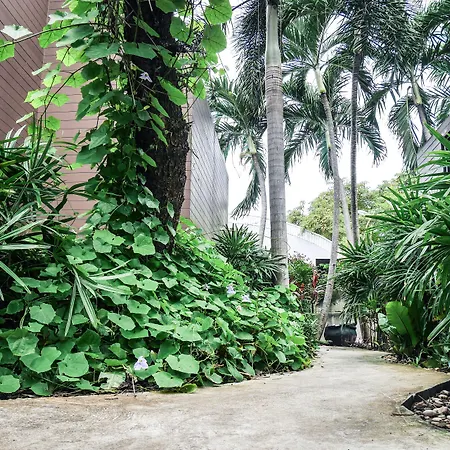 Navin Resort 3*