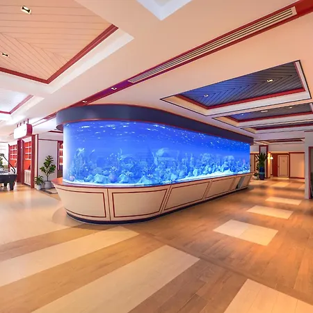 The Cruise 4*
