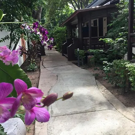 The Garden