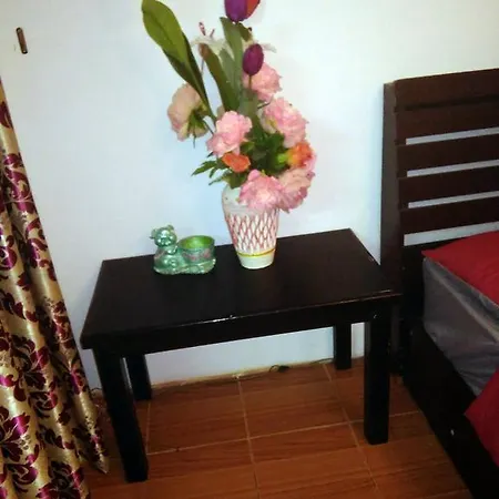Javan 3 *