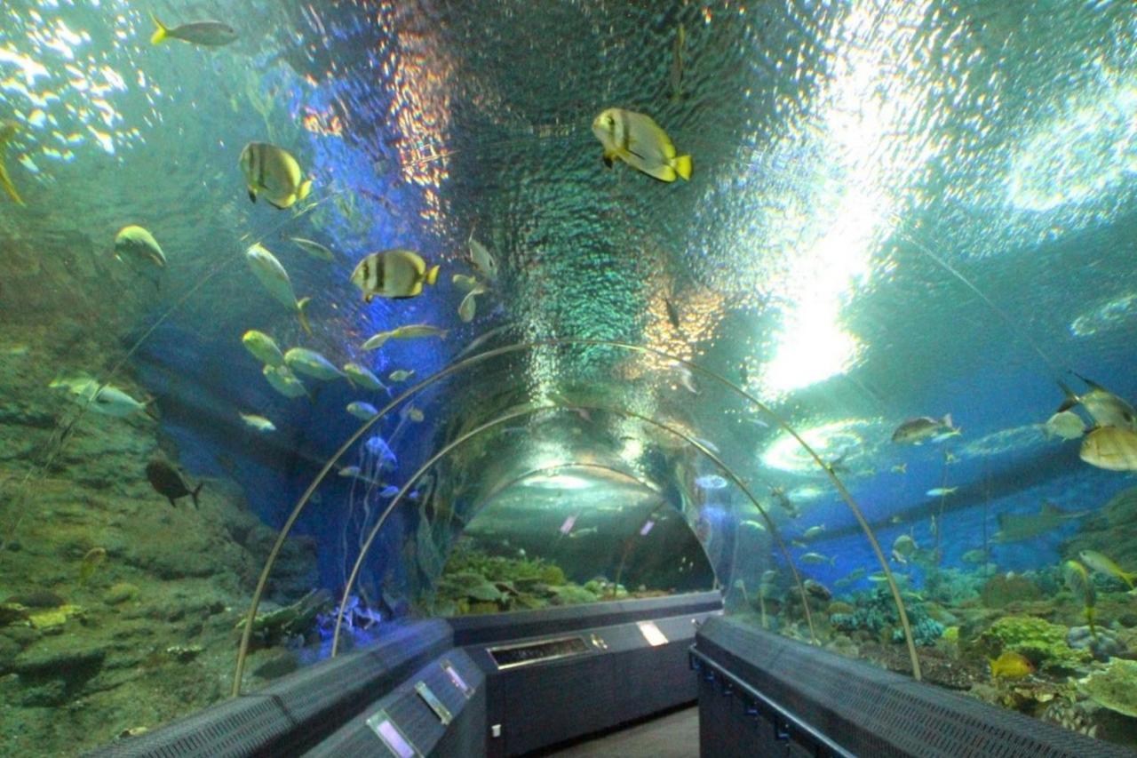 Hotel Oyo 1138 Mind Mansion 3*