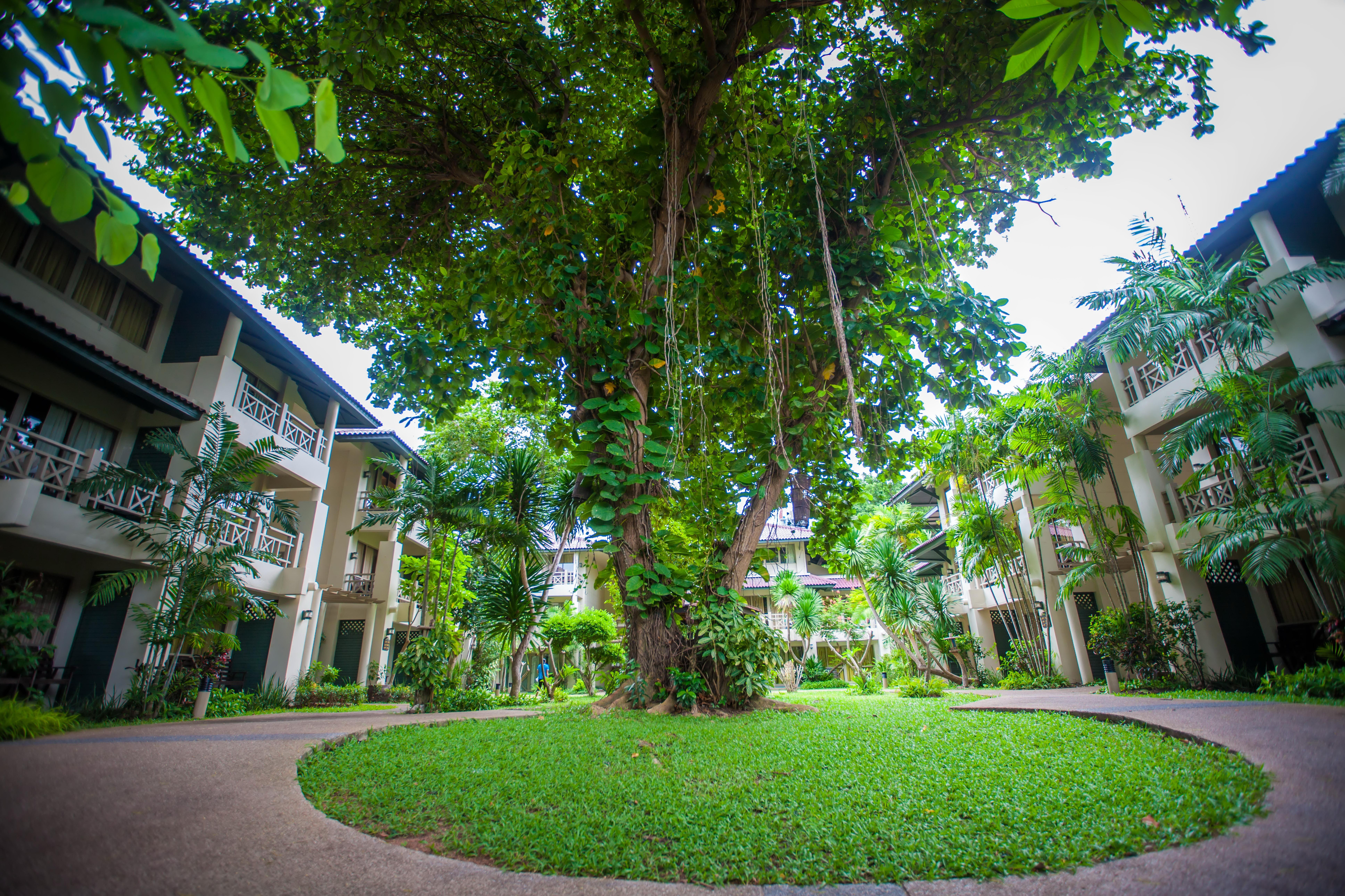 Resort Natural Park